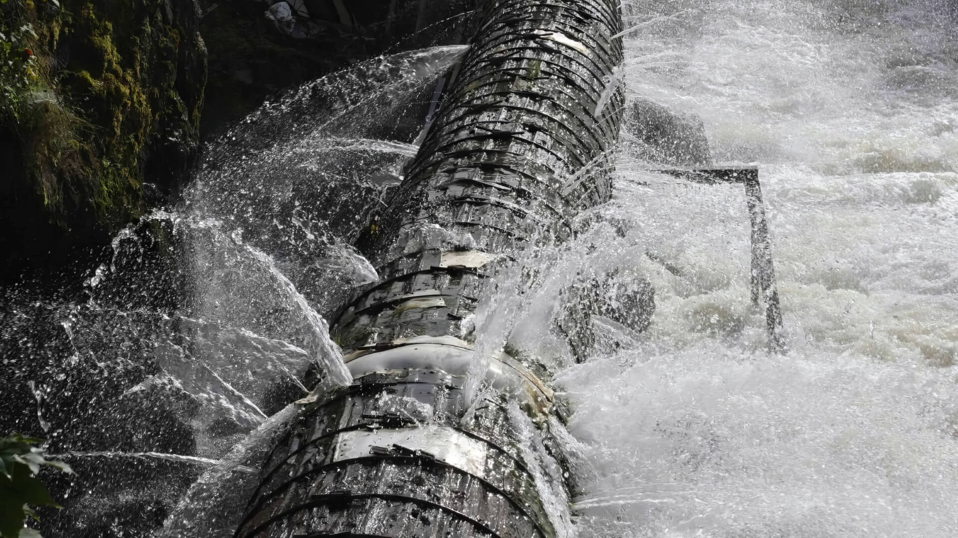 Fast Plumbing Response