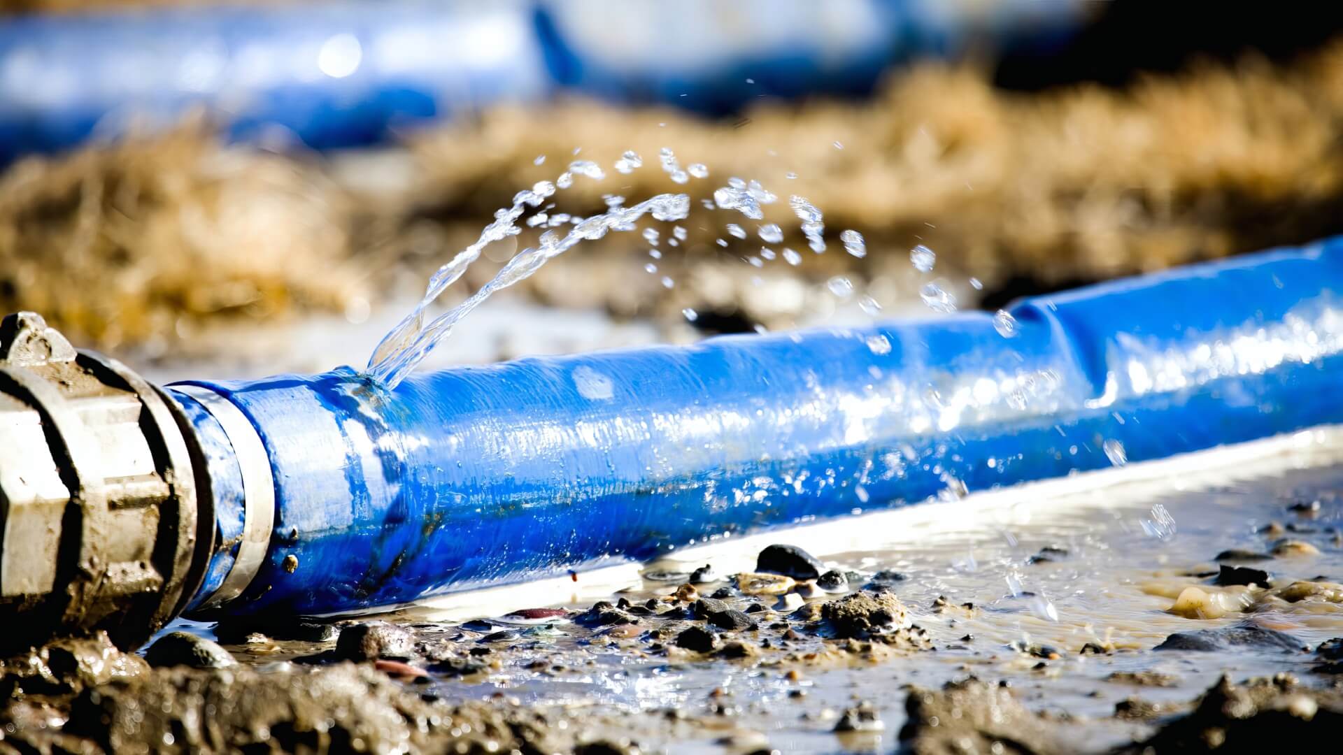 Immediate Plumbing Assistance