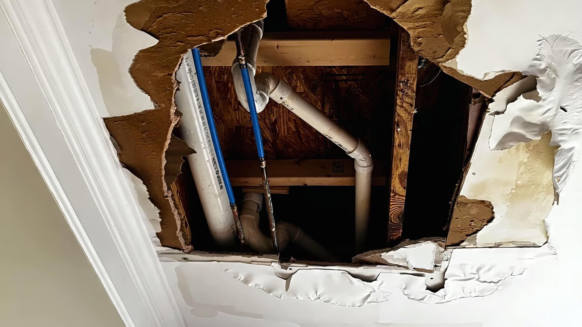 Immediate Plumbing Solution